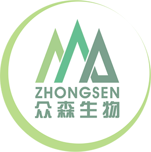 最新电子游戏娱乐