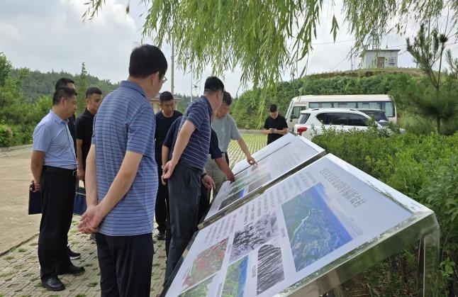 最新电子游戏娱乐