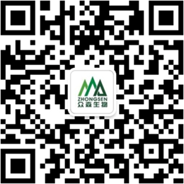 最新电子游戏娱乐